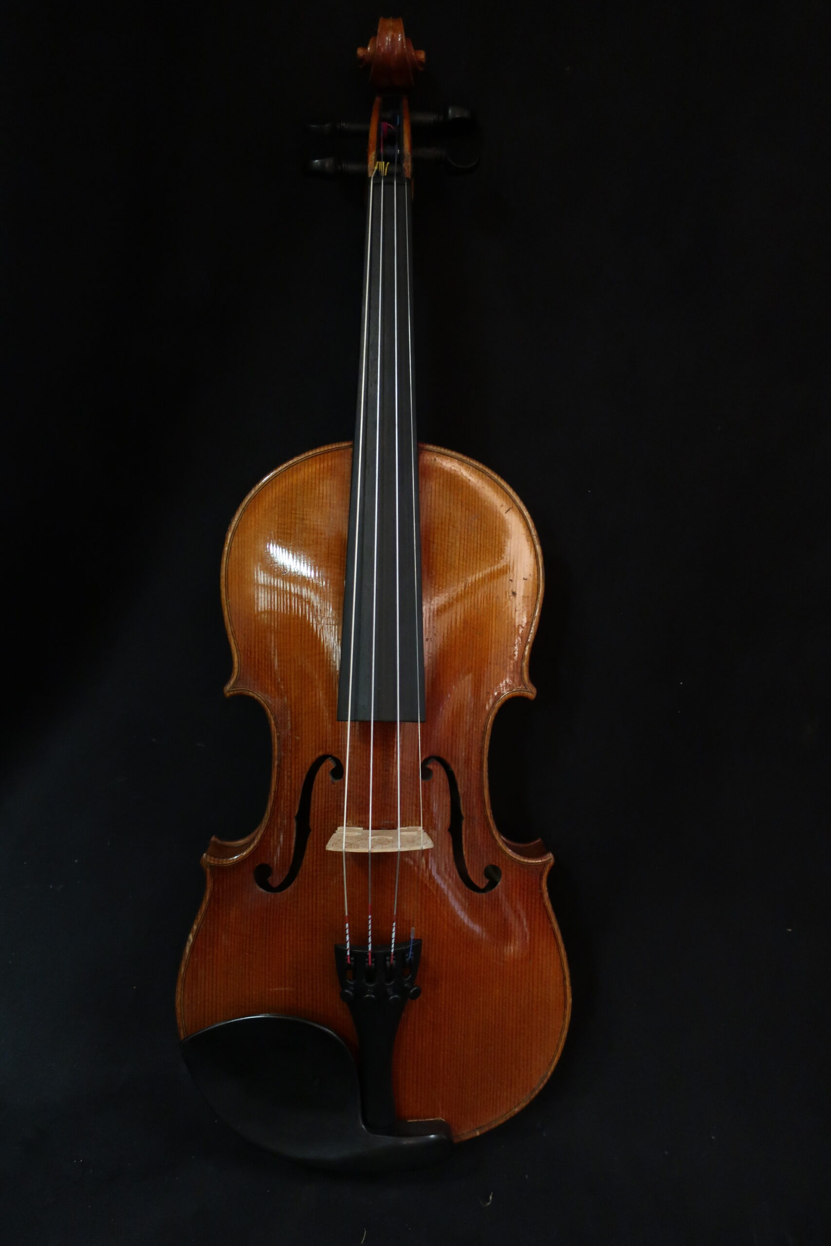 violon Schweitzer 1