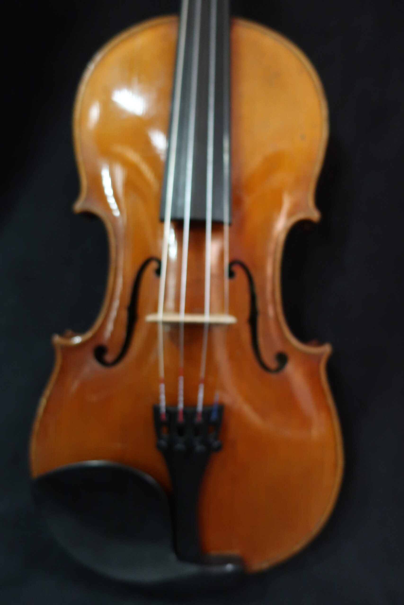 violon Schweitzer 2