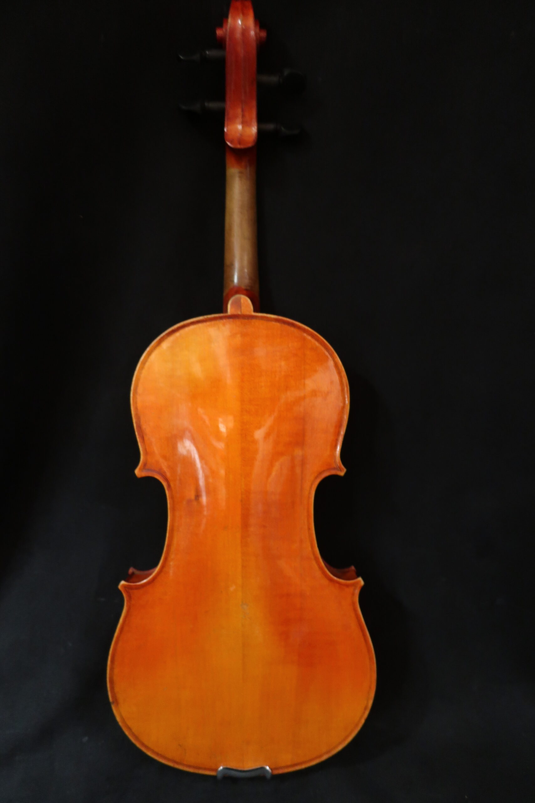 Violon medio fino 2